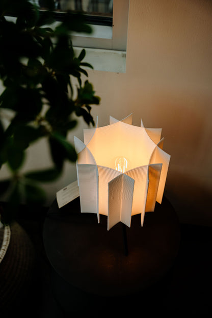 Lightning Lamp